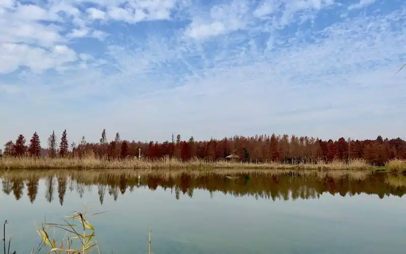 东奥会计网站无法登录的应对方法